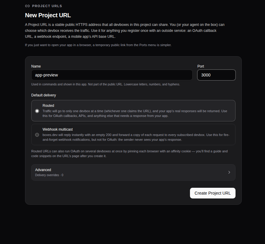 Give the Project URL a name and port, then choose how requests reach your app.